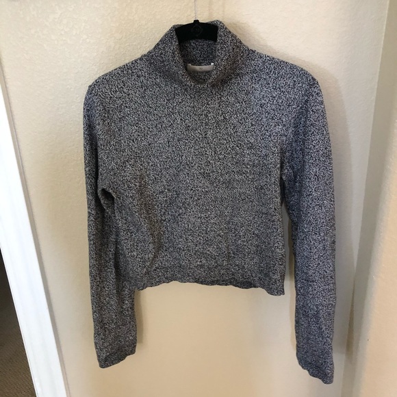 Aritzia Sweaters - Aritzia Sunday Best Cropped Turtleneck Sweater